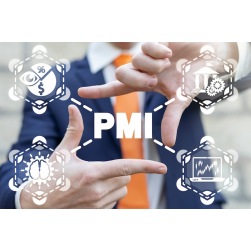 Project Management Leading Practices: be prepared for the new PMI® PMP® exam